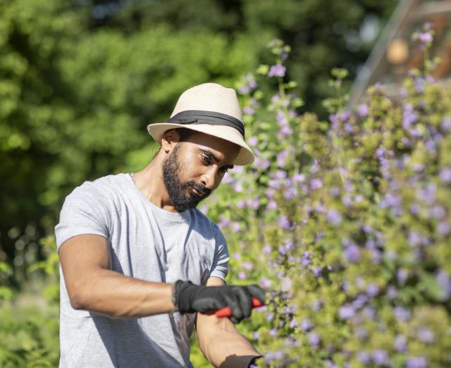 Portrait of bearded young man pruning shrub